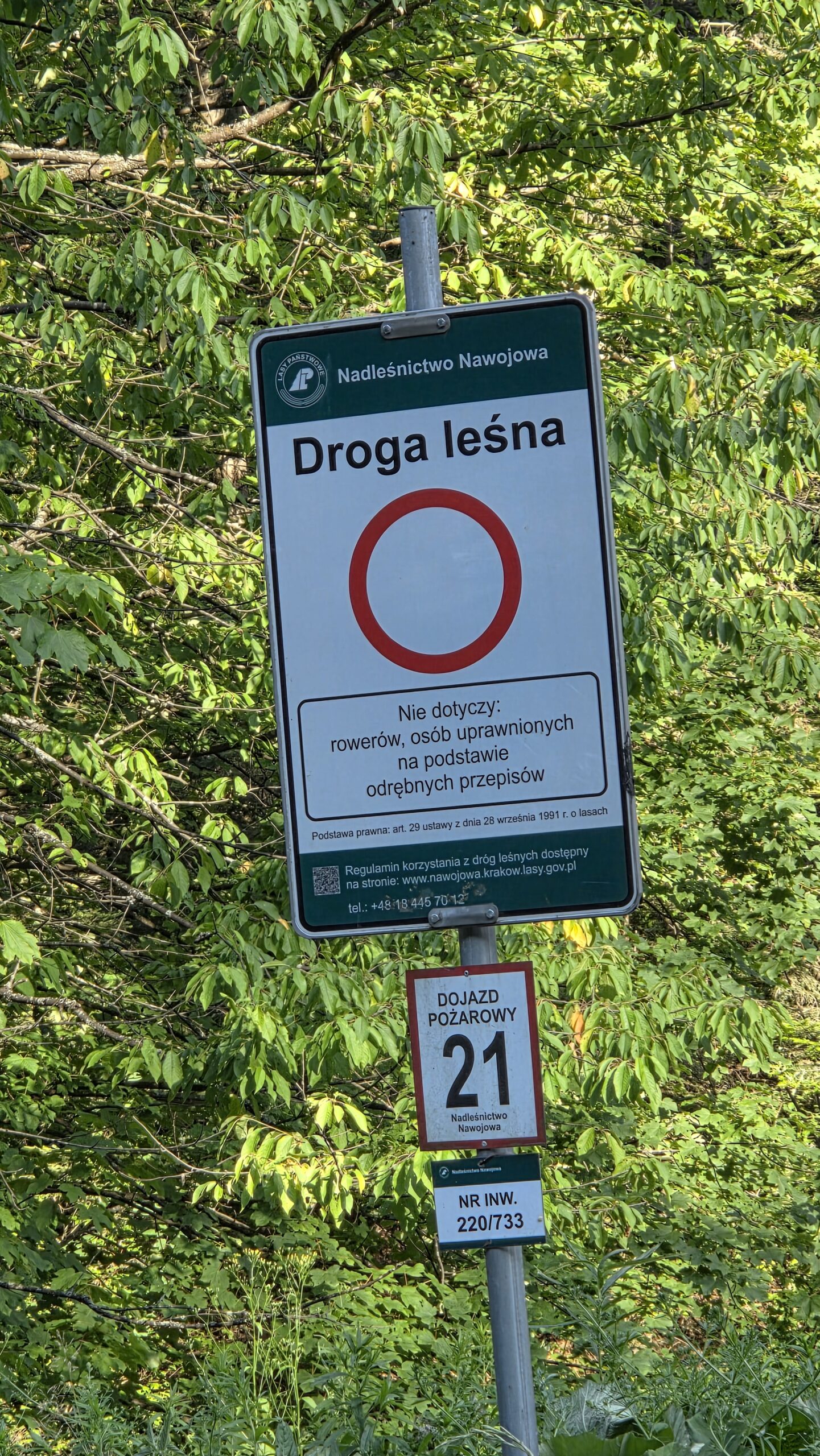 A Polish forest road sign reading Droga leśna